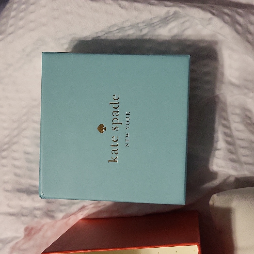 EMPTY Kate Spade Watch Box Pillow Storage - Picture 2 of 7
